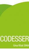 Logo Codesser color